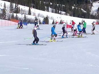 ECO Alpincup